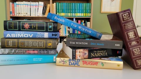 Several books piled on top of each other and next to each other on a desk with a bookcase in the background