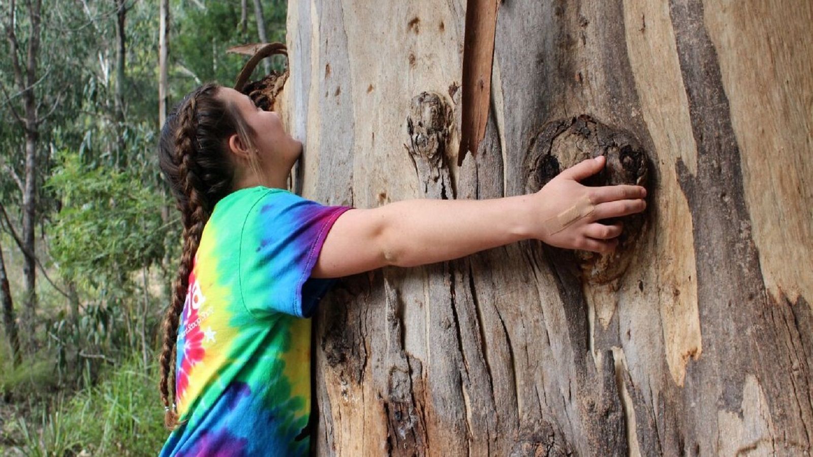 Girl wearing a tie-dyed shirt hugging a large tree. banner image
