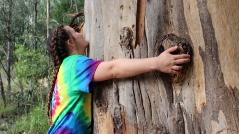 Girl wearing a tie-dyed shirt hugging a large tree.