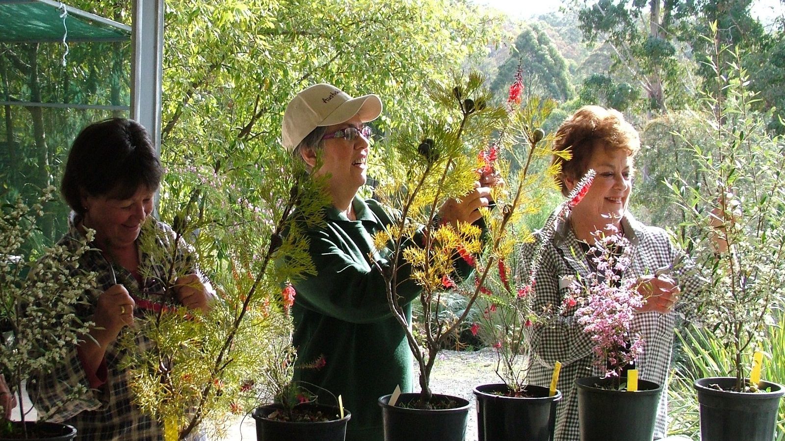 Three women tending to potted plants. banner image