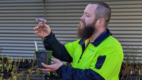 A person holding up a plant in a pot.