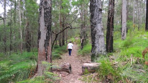 A woman wearing a white shirt and dark pants walking along a bush track