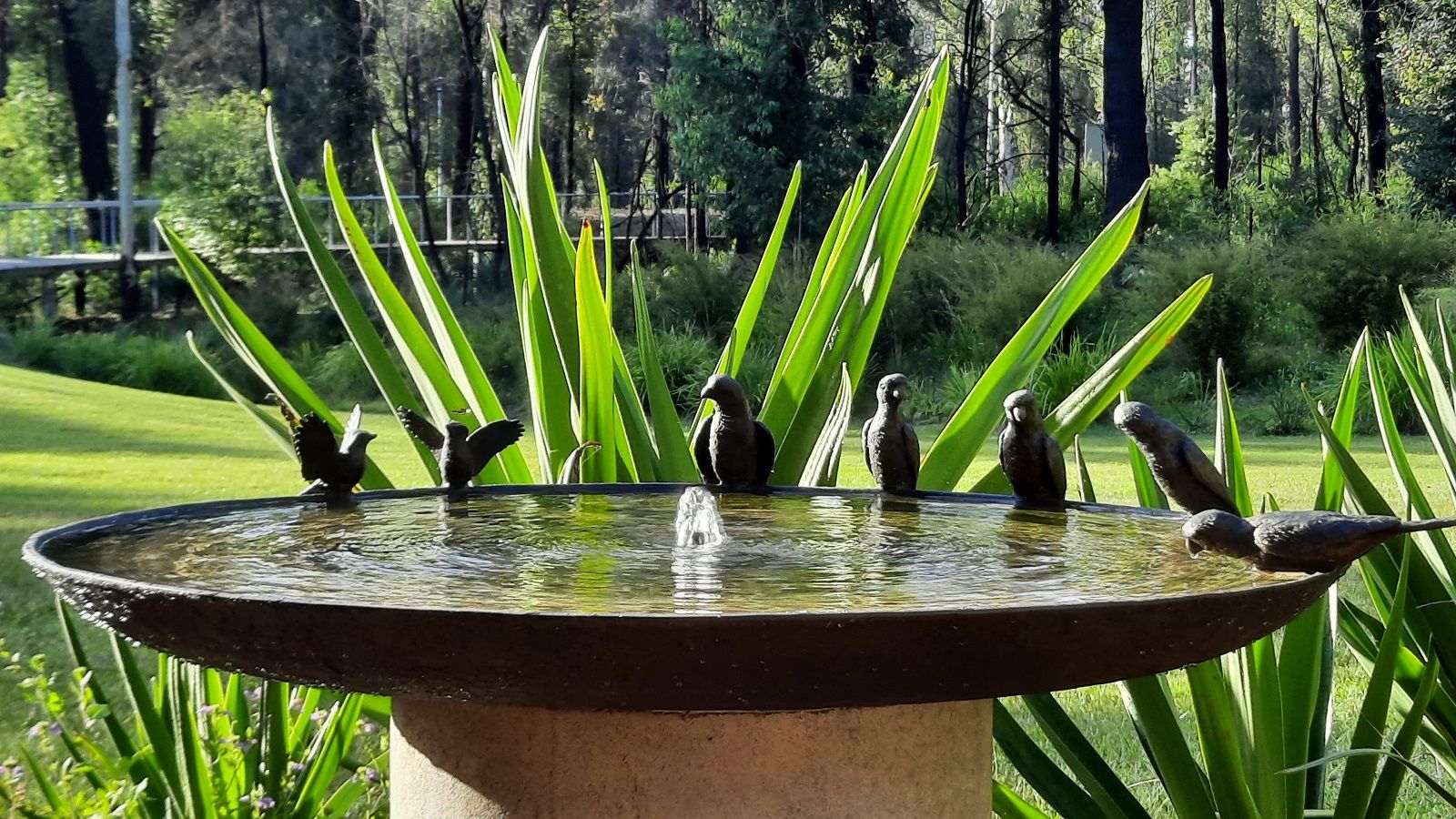 A circular water feature with ceramic bird statues positioned on one side of the basin. banner image